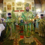 Божественная литургия в Благовещенском храме г. Котовска